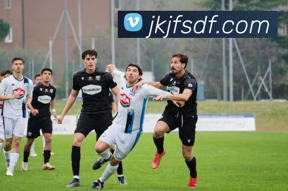 多媒体互动体验